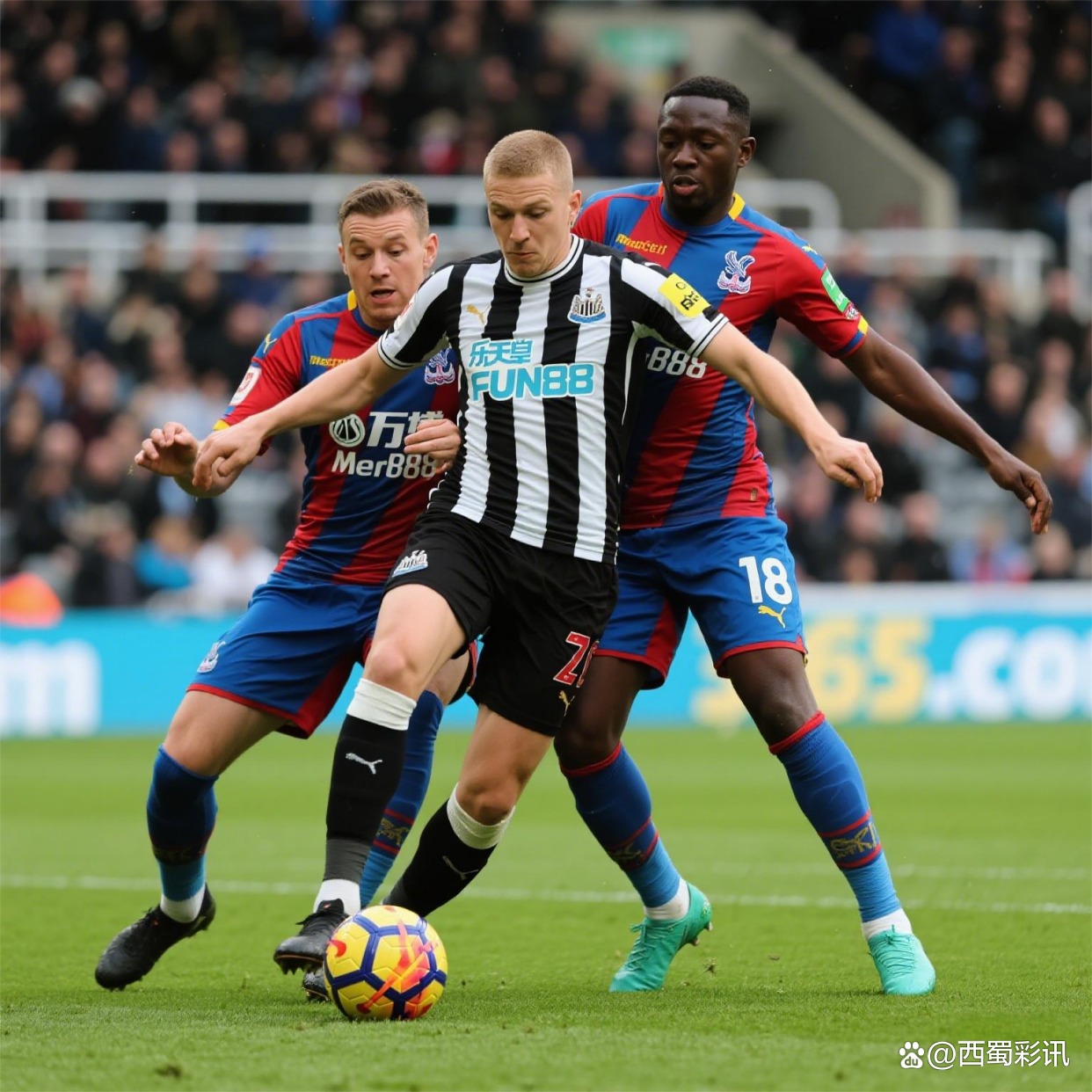 纽卡斯尔发布备战花絮；今晨扳平良机；欧超杯任务艰巨；数据趋势出现新变化的简单介绍