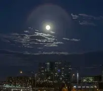 本菲卡最新比赛消息